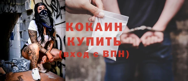 тгк Пестово