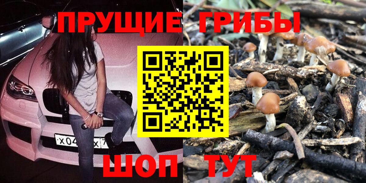 Псилоцибиновые грибы MAGIC MUSHROOMS  Вход с VPN  Псилоцибиновые грибы Cubensis  Ханты-Мансийск 