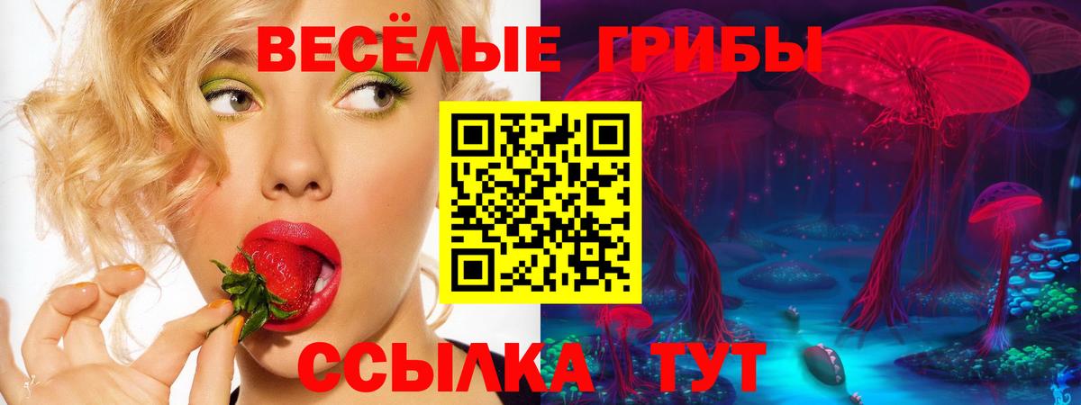 Псилоцибиновые грибы Psilocybine cubensis Ханты-Мансийск